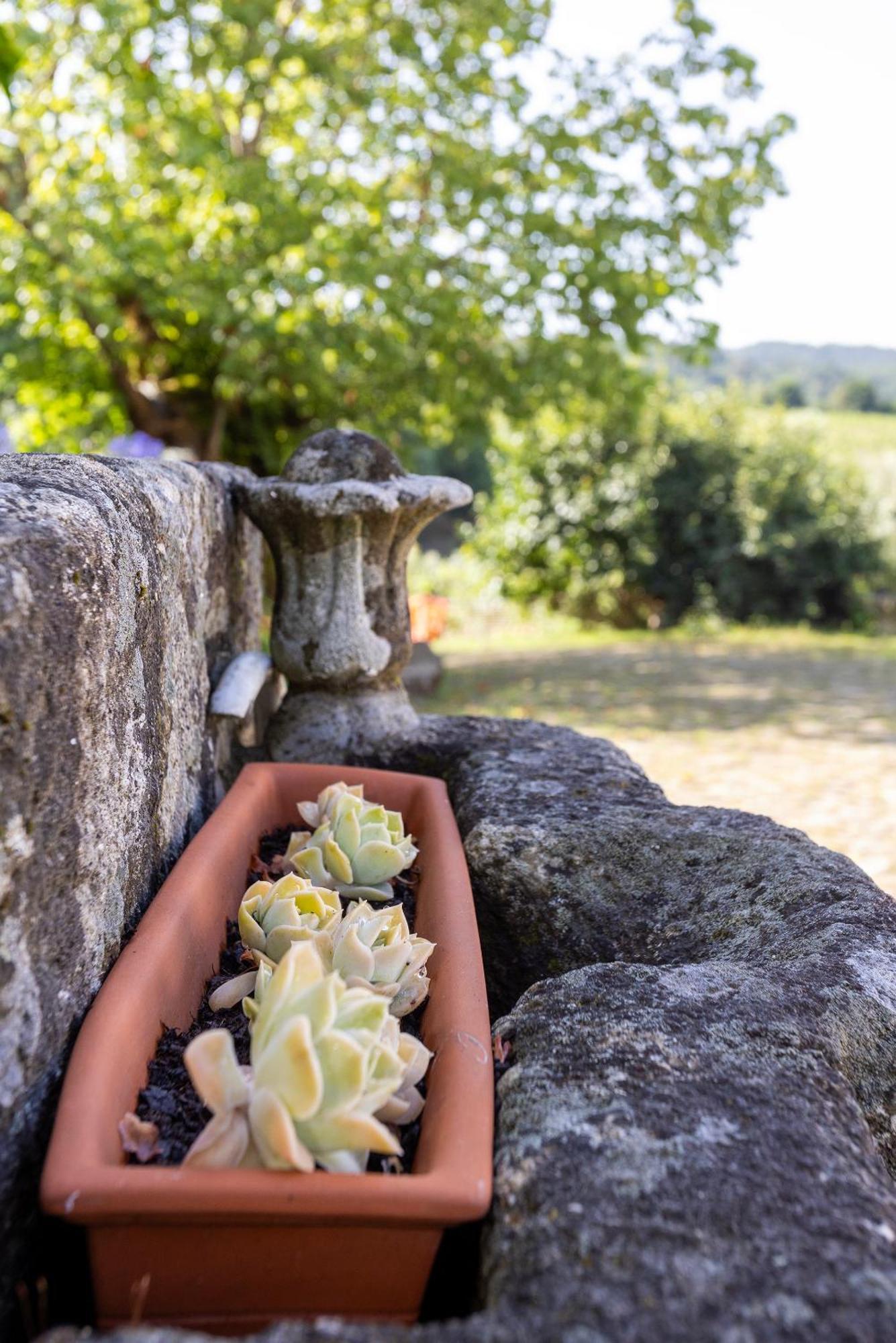 Quinta Da Comenda São Pedro do Sul エクステリア 写真