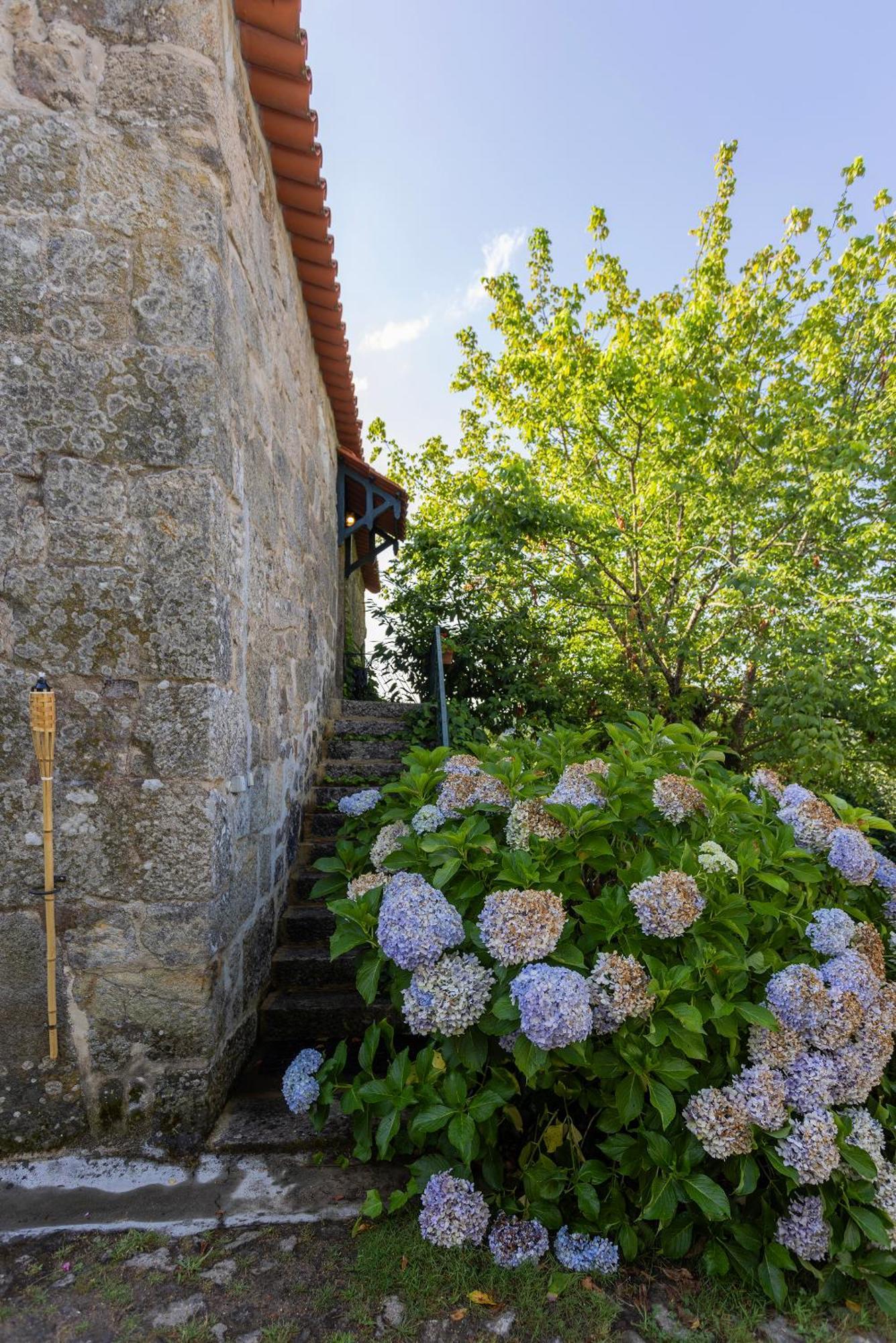 Quinta Da Comenda São Pedro do Sul エクステリア 写真